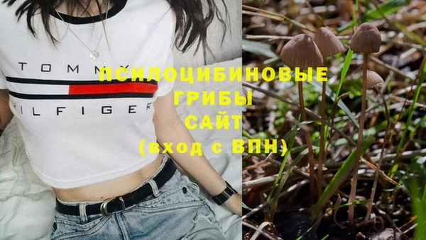 синтетический гашиш Кинешма