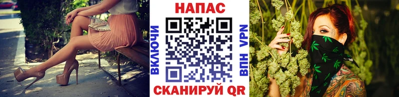 Купить закладки  Дубовка  Марихуана сатива 
